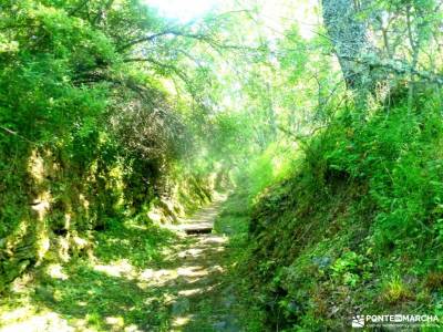 Sierra del Rincón_Montejo de la Sierra_La Hiruela; la garganta del cares tiempo sierra de madrid cir